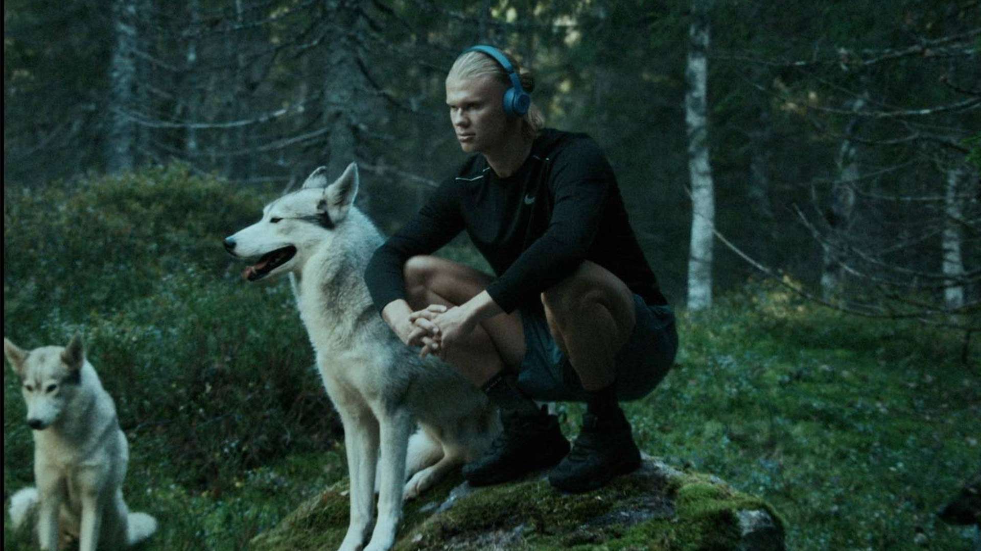 事件背景 事件背景